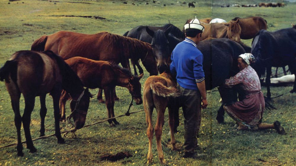 Қазақ – қашанда қазақ!