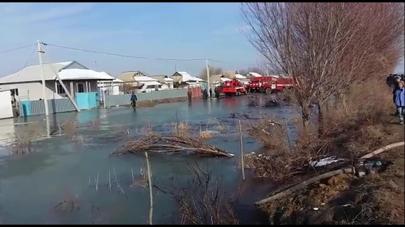 Мақтааралда каналдарды тазалау жұмыстары жүргізілуде