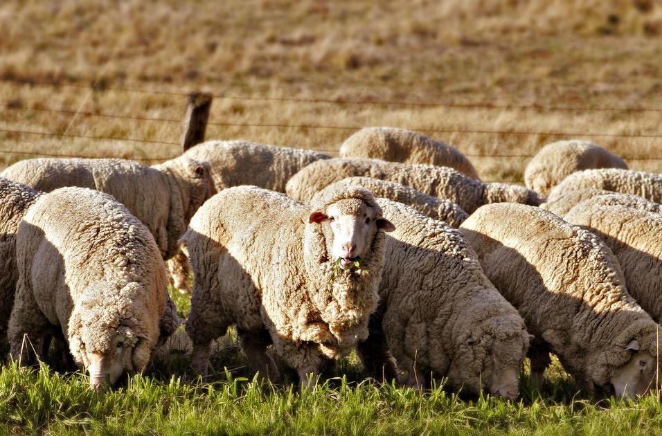 Барымызды қашан ұқсатамыз?