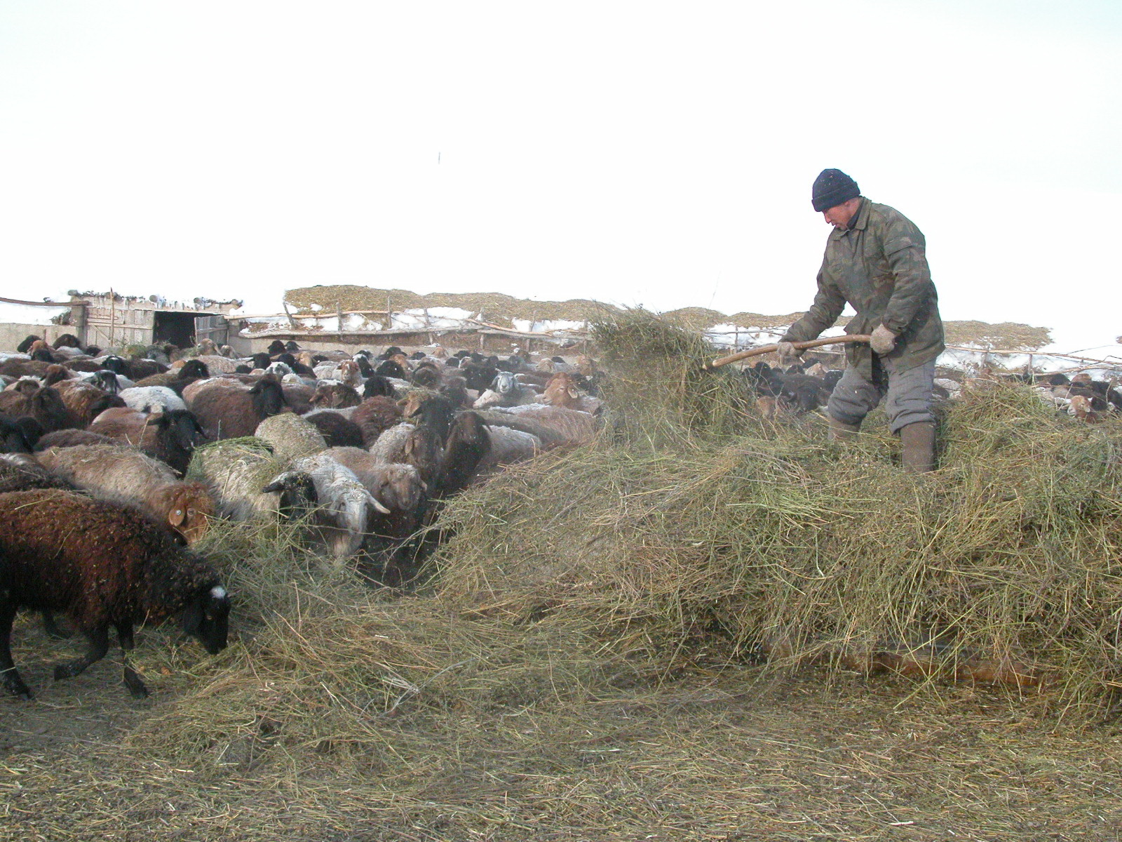 Кооперативтердің дамуына не кедергі?