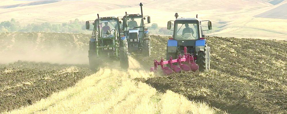 Қазақ – қашанда қазақ! (17.04.2017)