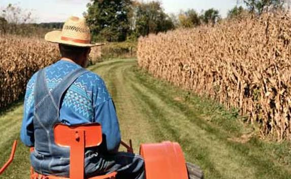 Ауыл шаруашылығы шағын шаруалардың арқасында дамып отыр