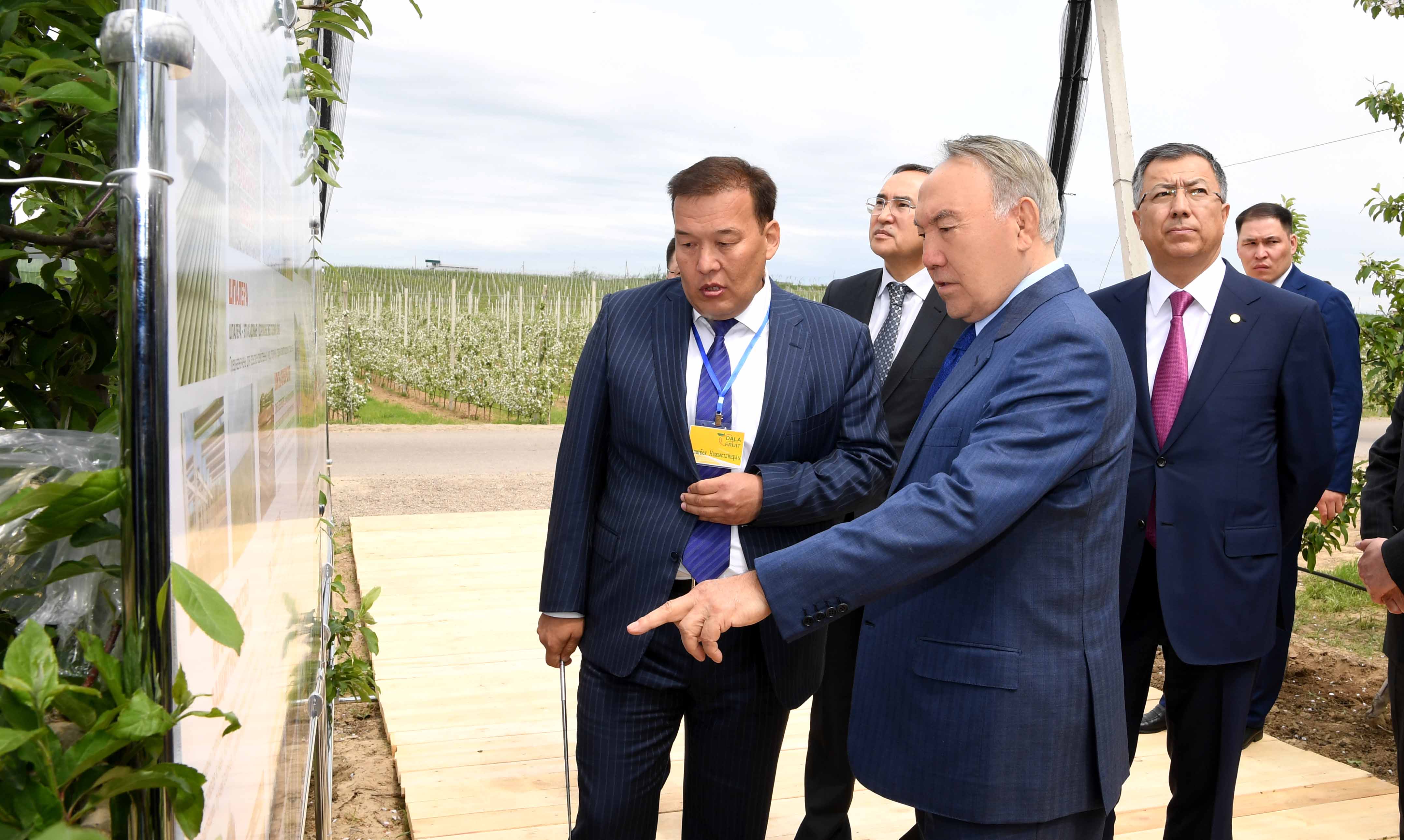 ҚР Президенті ОҚО-дағы алма өсіру технологиясымен танысты