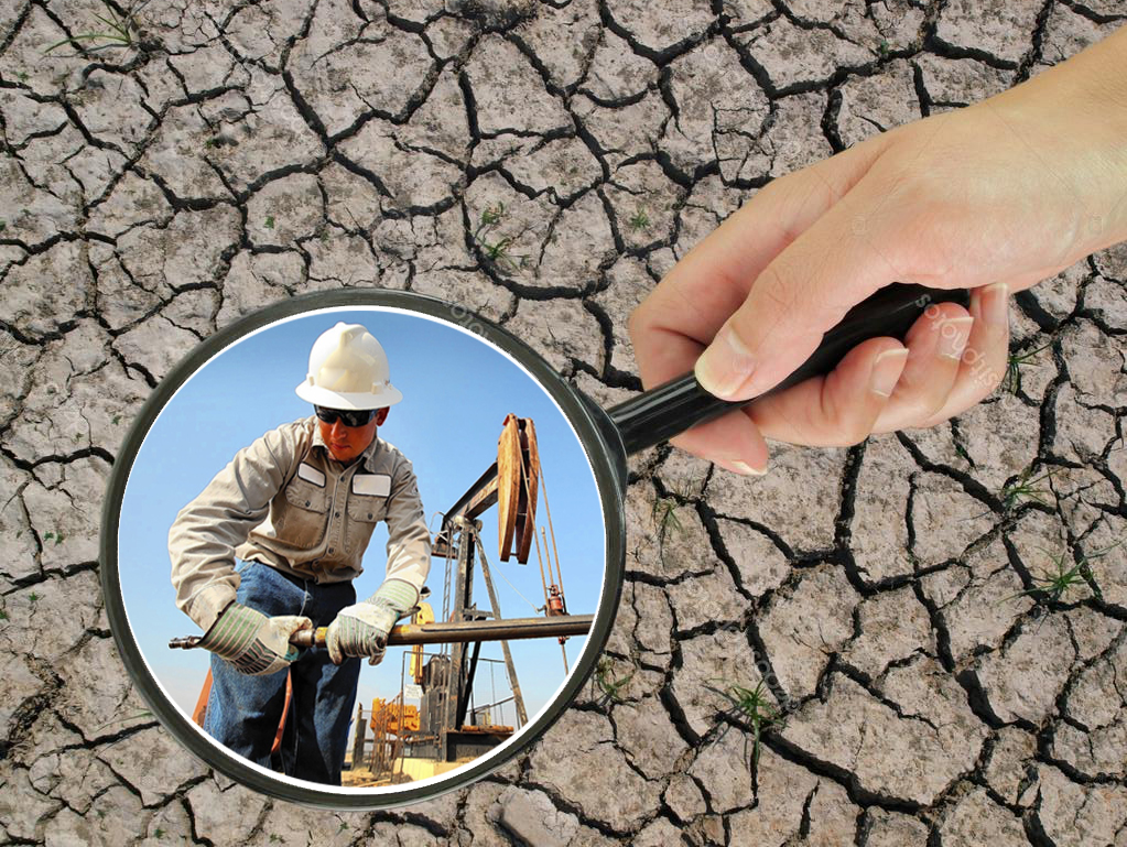 Мұнай төгілген топырақ қалпына келе ме?