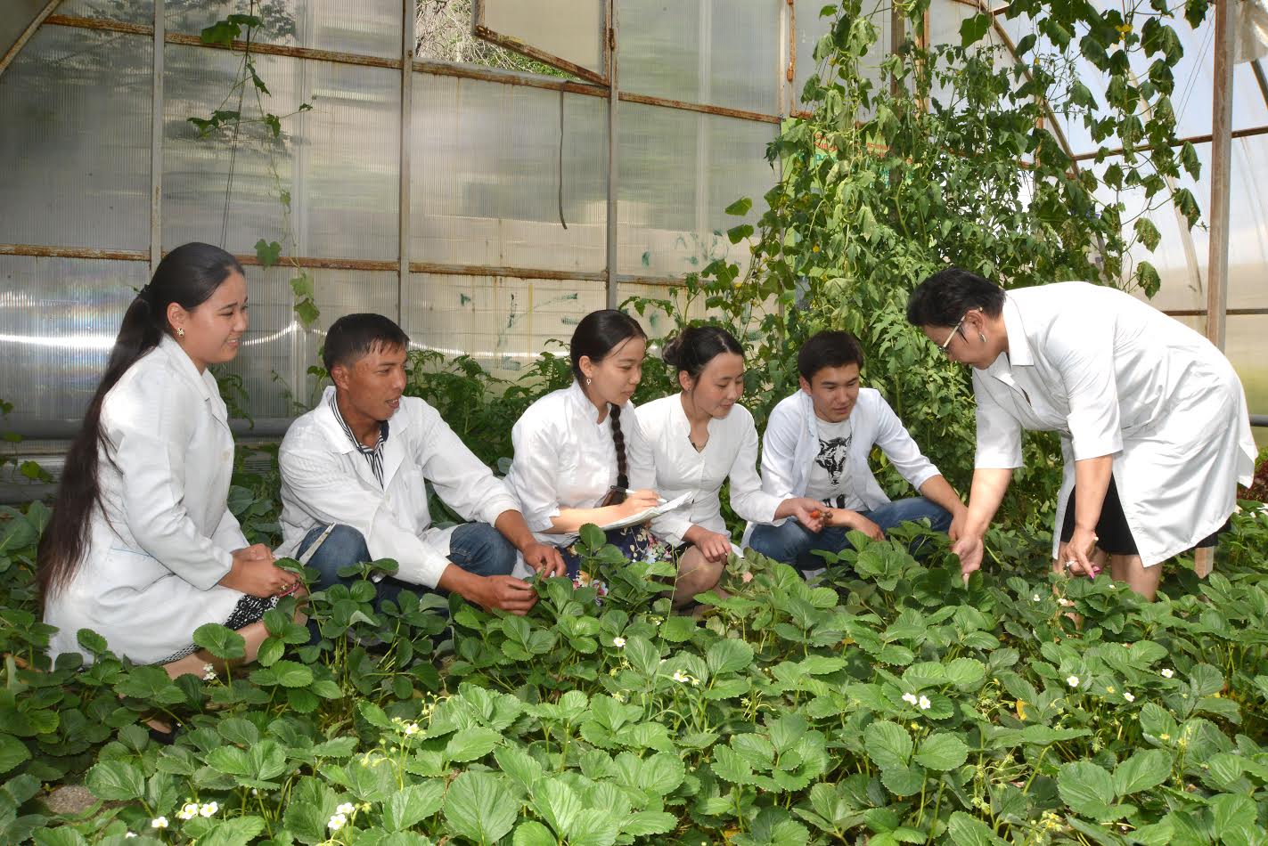 Тараздық студенттер табиғи қуат көздерін жылыжай өнеркәсібінде  қолданбақ