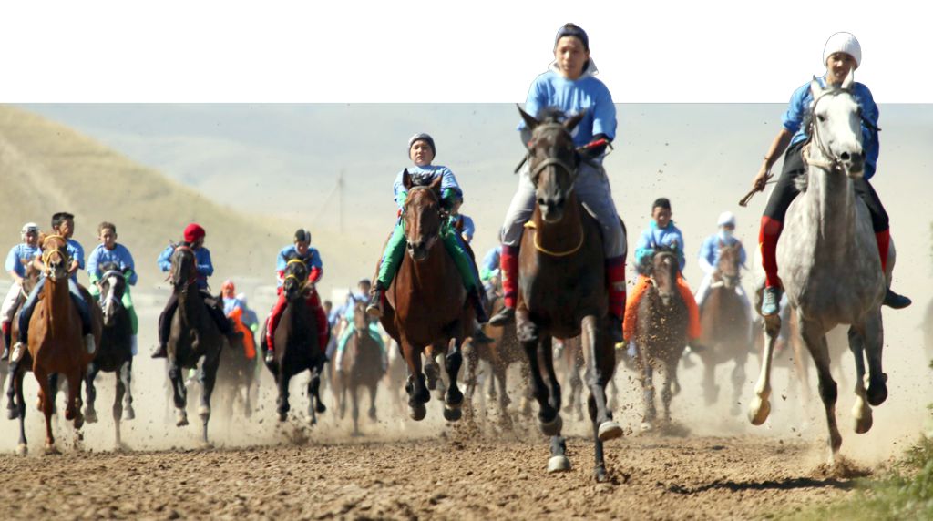 Бәйге түрлерінен ЭКСПО-2017 кубогы өтеді