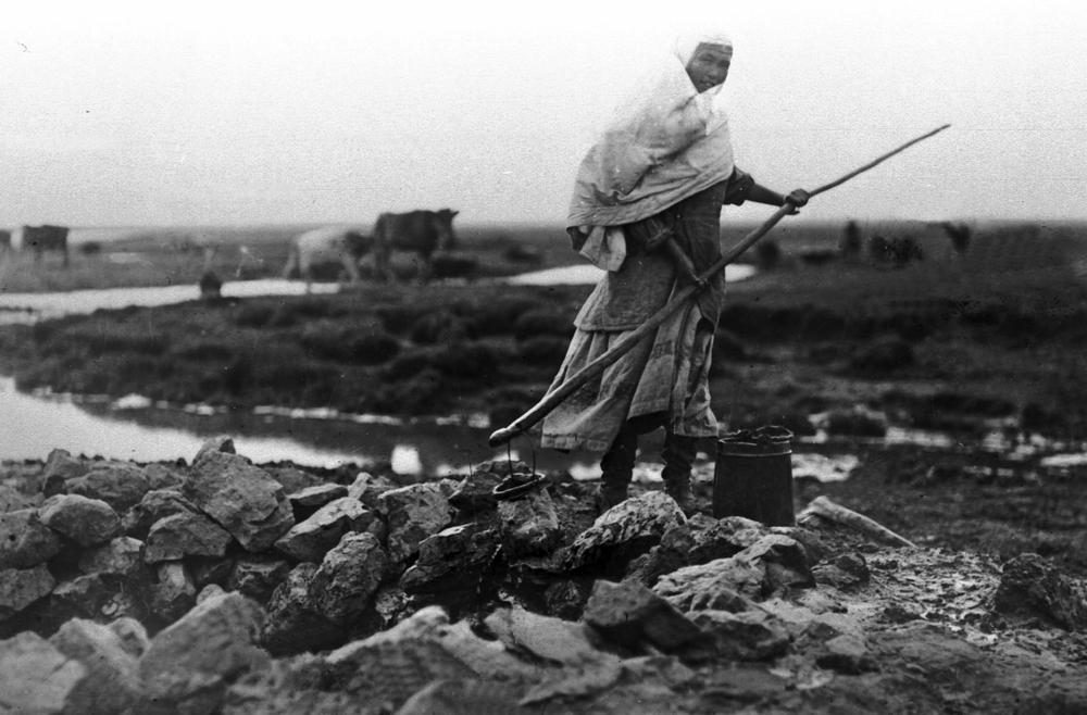 Адамзат тарихындағы аянышты эпизод