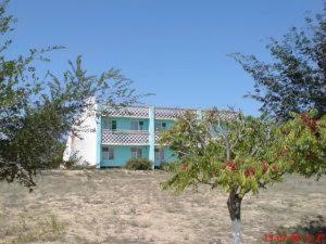 Бағдарлама негізінде балаларды сауықтыратын орталық ашылды