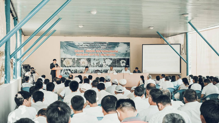 Шаруалар мақта зиянкестерімен биологиялық тәсіл арқылы күресуде