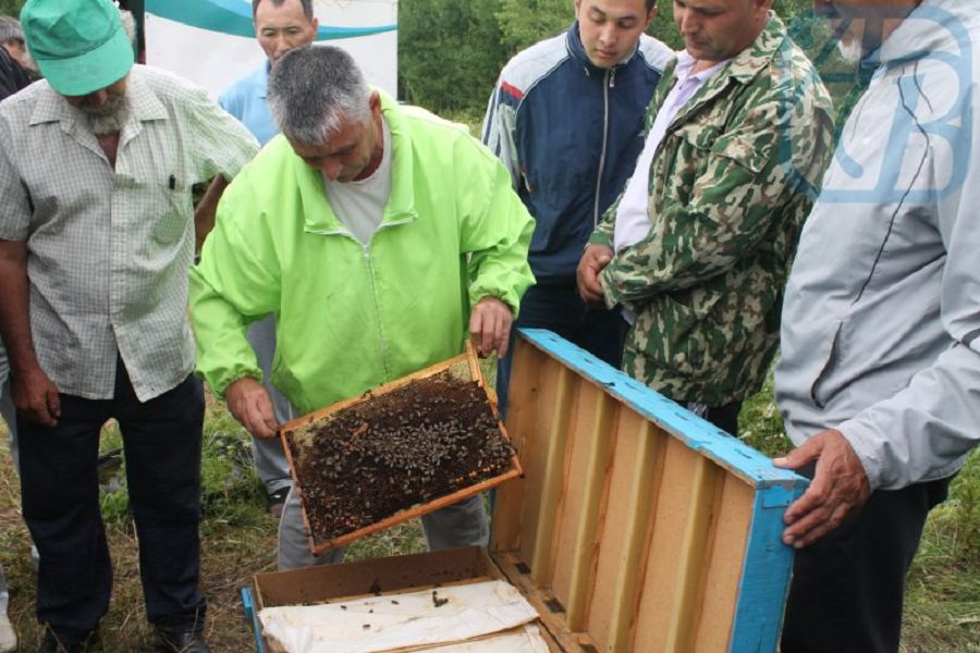 Бал ұстағандарға да бап керек