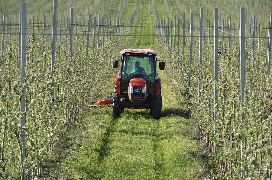 ОҚО-да ауыл шаруашылығы бағытында 8 ірі инвестициялық жоба жүзеге асырылды