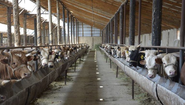 Оңтүстікте 600-ден астам кооператив құрылады