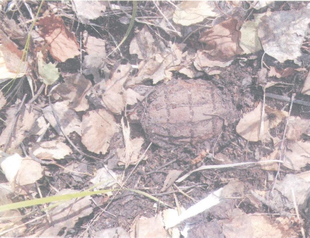 Солтүстікқазақстандық тұрғын граната тауып алды