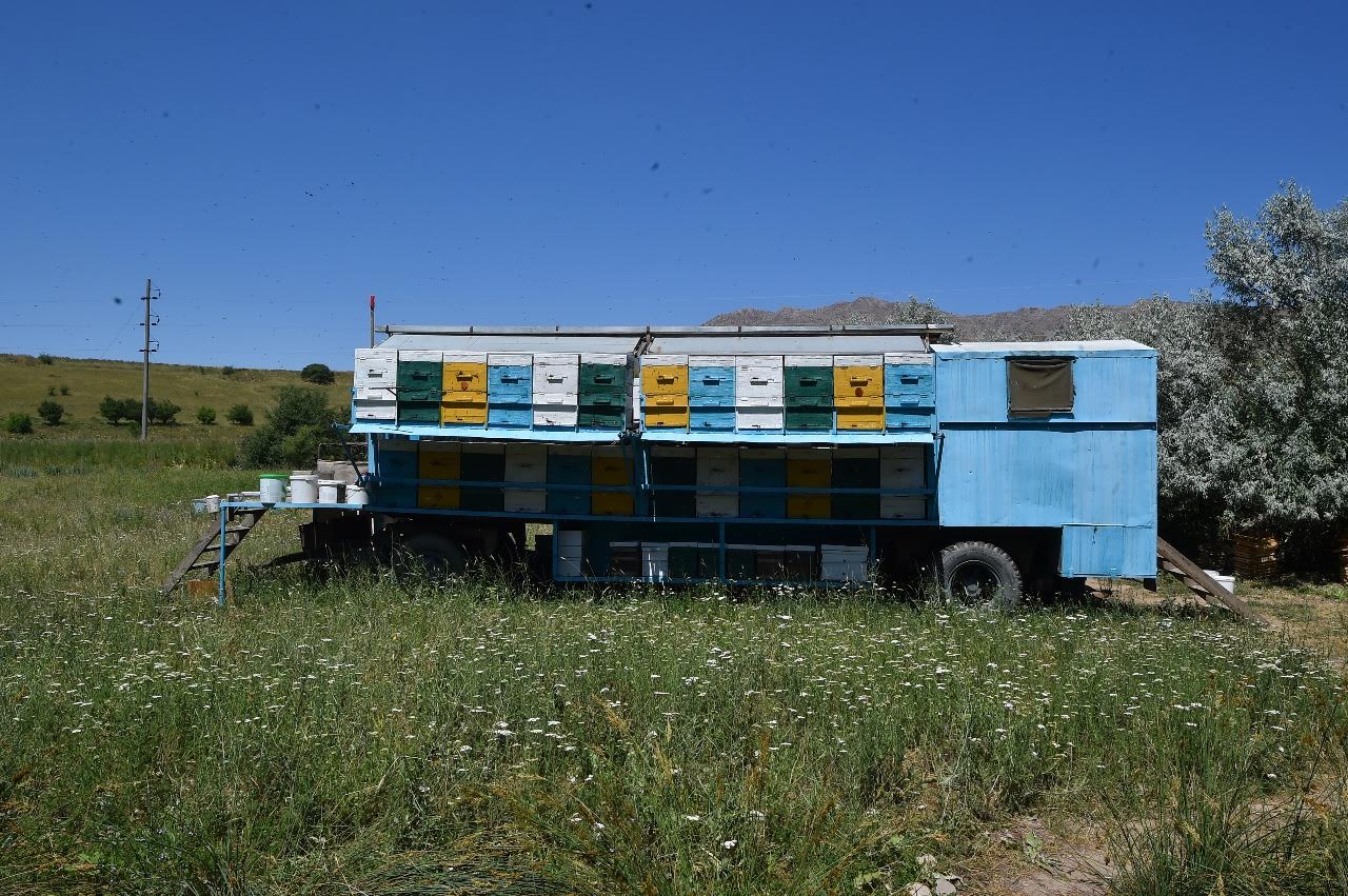 ОҚО-да омарташылар кооперативі құрылады