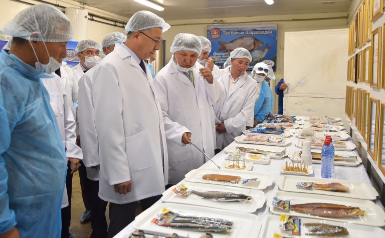 Шардарада жыл басынан бері 1300 тонна балық өнімі өндірілді