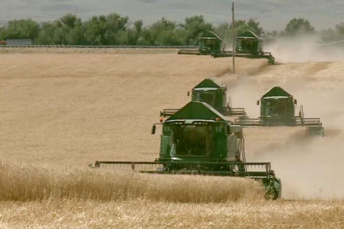  Жамбыл облысында егін жинау науқаны басталды