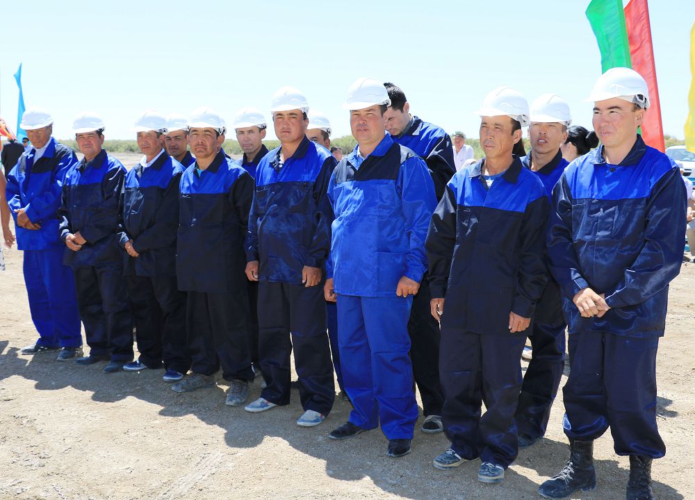 Қызылорда облысында құс фабрикасы салынып жатыр