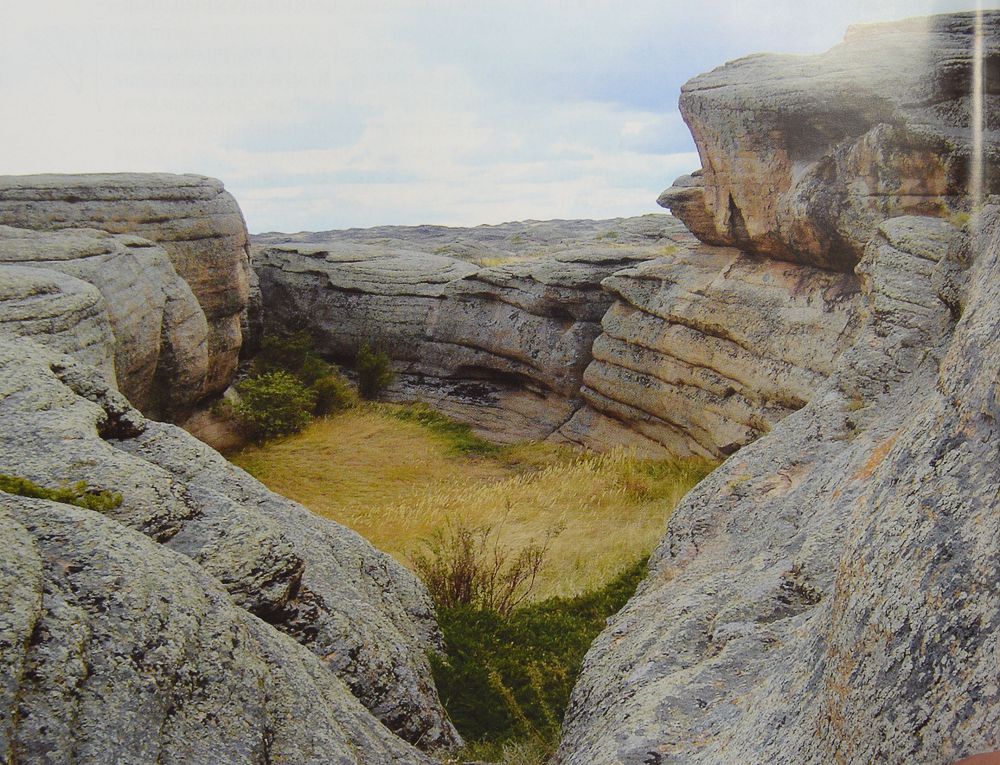 Қысырақ қамаған