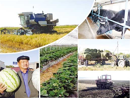 Ауылшаруашылық кооперативтері қалай қаржыландырылады?