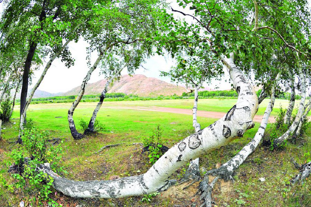 Ұлытаудағы ұлағатты істер