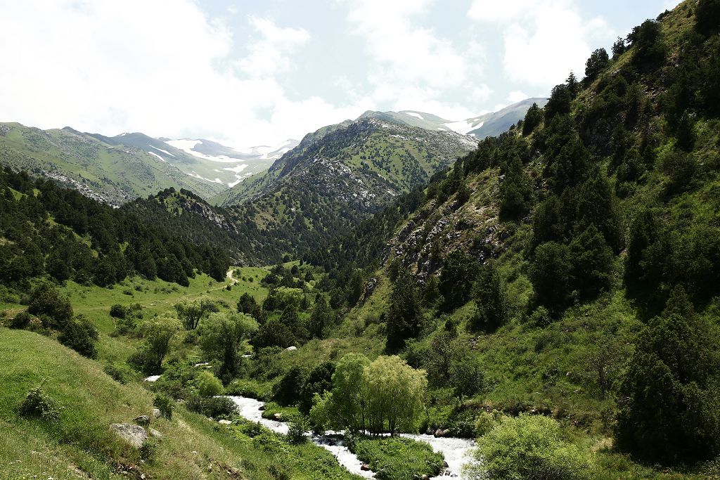 Таңқурай жегің келсе Қазығұртқа кел