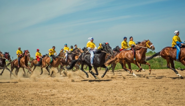 Бүгін Астанада Бәйге түрлері бойынша республикалық жарыс өтеді