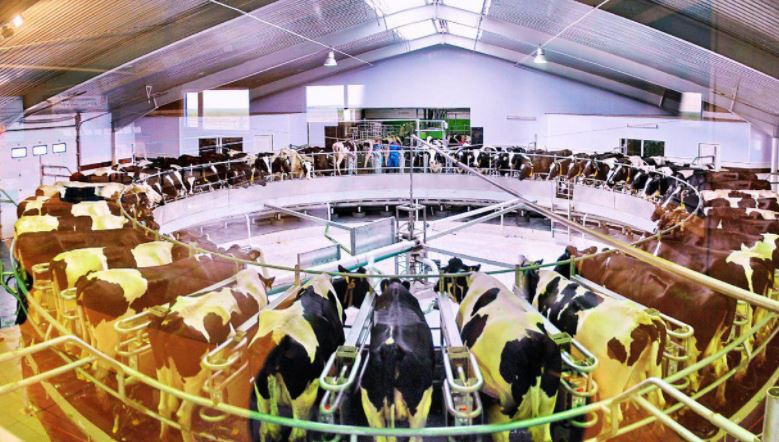 Сағынтаев СҚО-да ауыл шаруашылығы өнімдері өндірісіндегі технологиялармен танысты