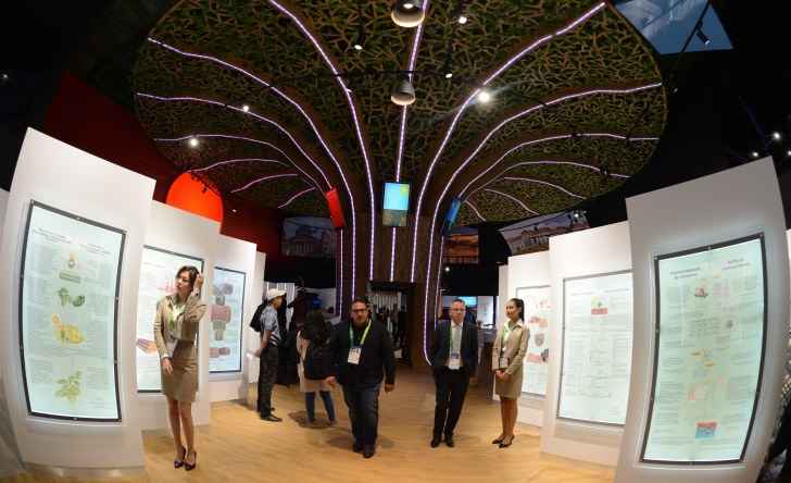 Сутекті энергияның пайдасы шаш-етектен