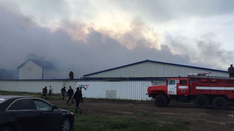 Солтүстік Қазақстанда 28 мегежін мен 95 торай қырылып қалды 