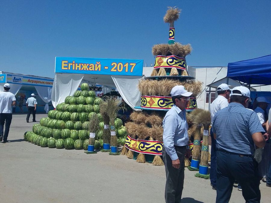 Жамбыл облысында егінжай күні өтті