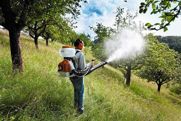 Астанада масамен күрес жұмыстары жалғасуда