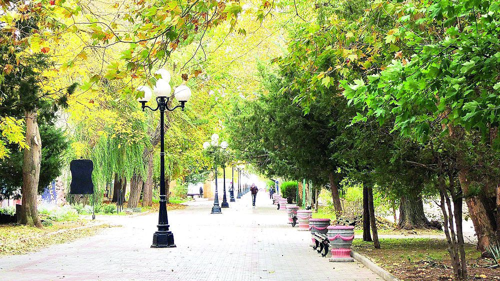 Ағаш қандалаларынан қауіп зор