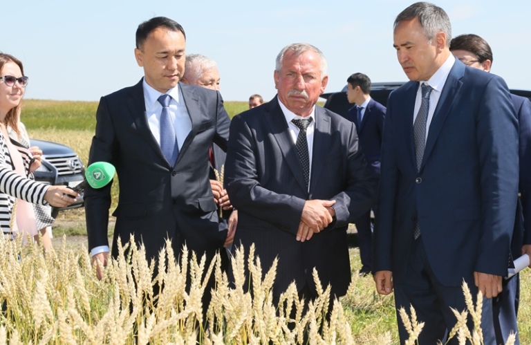 Асқар Мырзахметов Қостанай облысының астық алқаптарын аралады