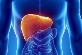 Бастың амандығы –  бауырдың бүтіндігінде