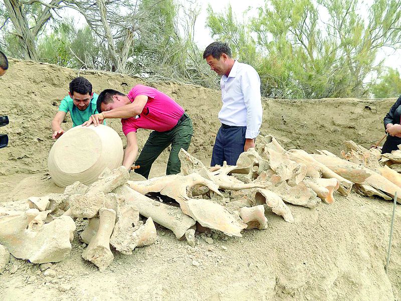 Сыр өңіріндегі Сортөбе бекінісінен қобыз пішіндес тас табылды