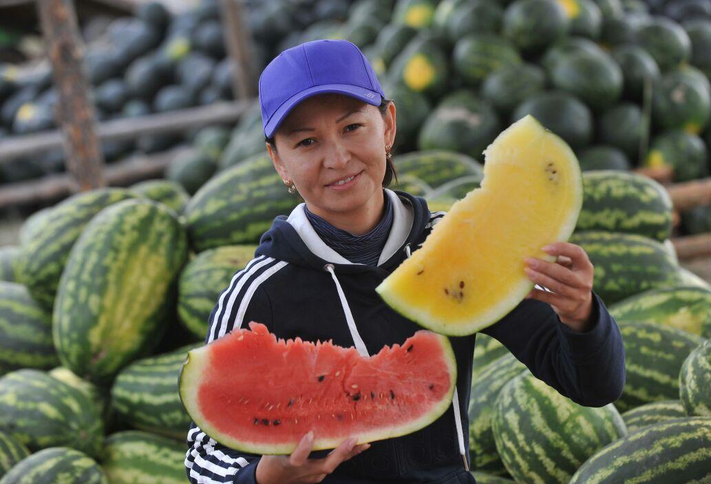 Павлодардан Астанаға 10 тонна қарбыз жеткізіледі