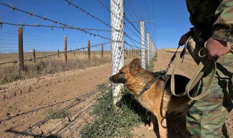 Жамбыл облысында шекарадан заңсыз өтпек болғандар ұсталды 