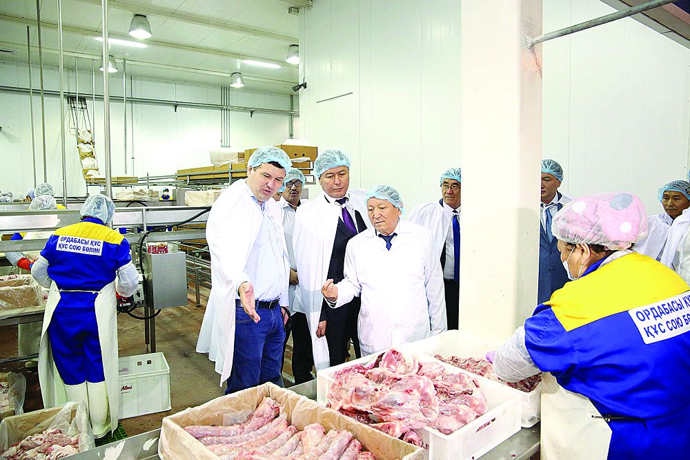 Жайық пен Арыс арасы жақындай түсті