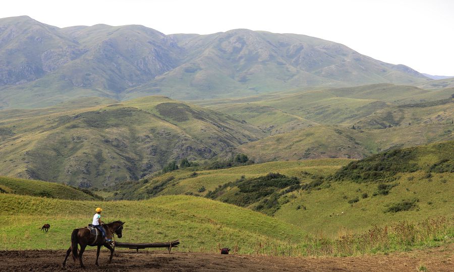 Жетісудың жайсаңы