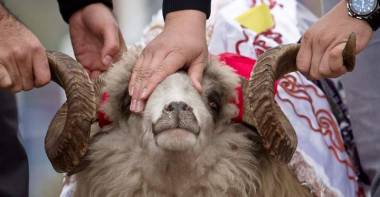 Астанада құрбандық шалуға арналған орындар анықталды   