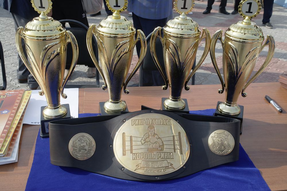 Петропавлда бокстан «Ринг королі» халықаралық турнирі өтті