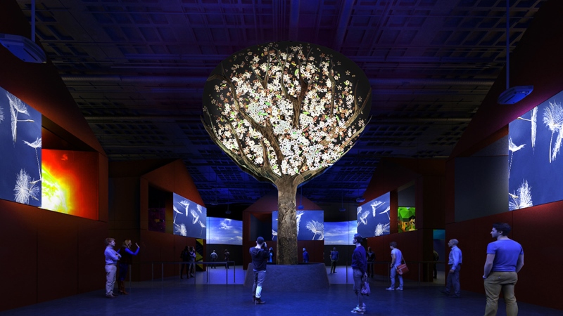 ЭКСПО-2017 көрмесінде испан тілі күні өтті
