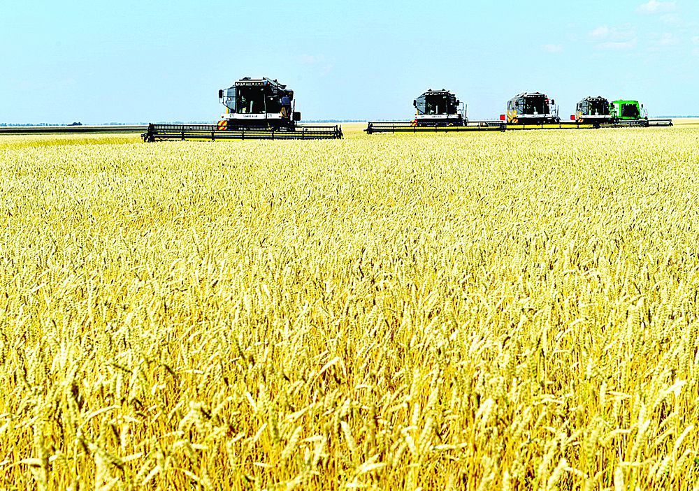 «Дала күні» келелі кеңеске айналды