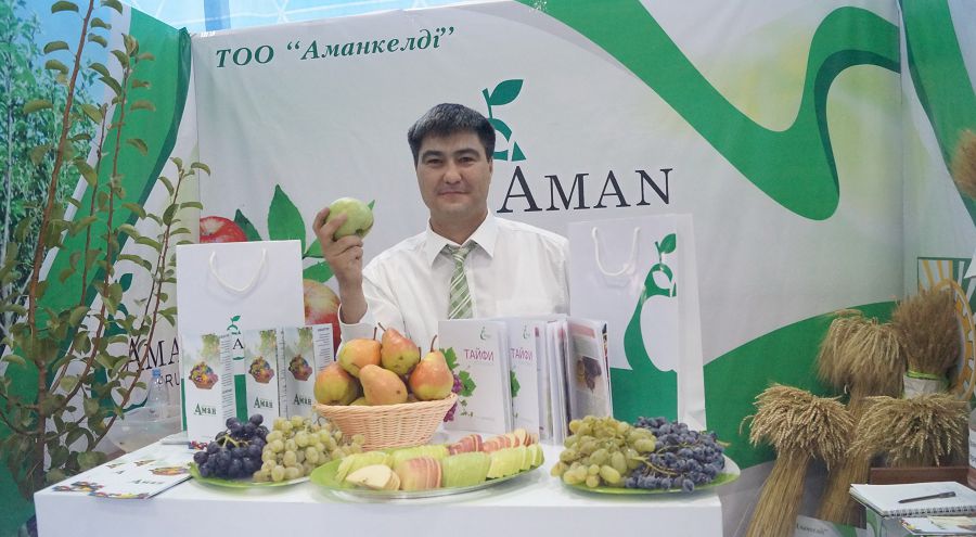 Мемлекеттік қолдау агроөнеркәсіпті аяғынан тұрғызды