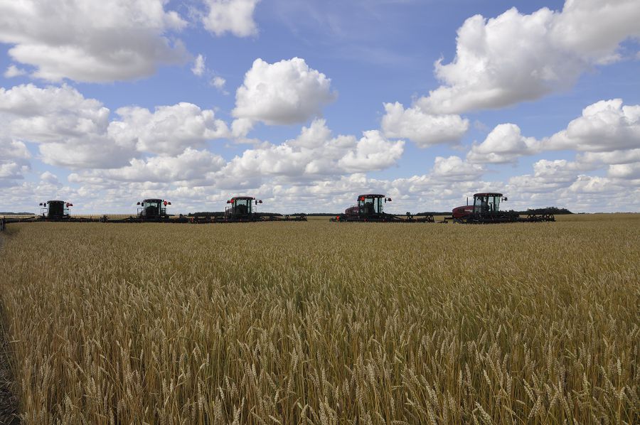 Маңдай тердің өтеуі