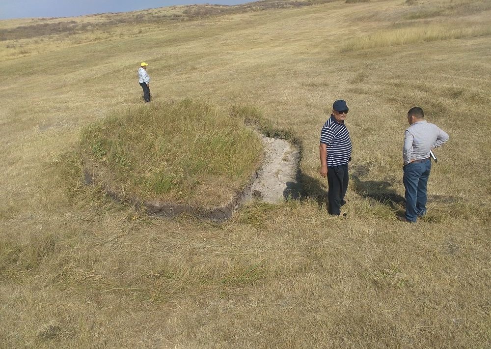 Бозайға келген бөгдеғаламшарлықтар ма?