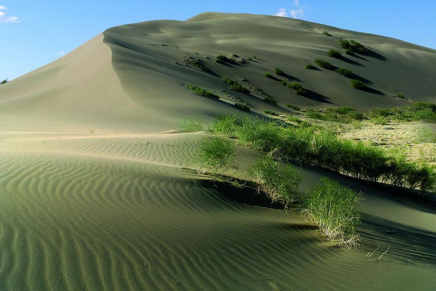 Қырында құлан жайлаған...