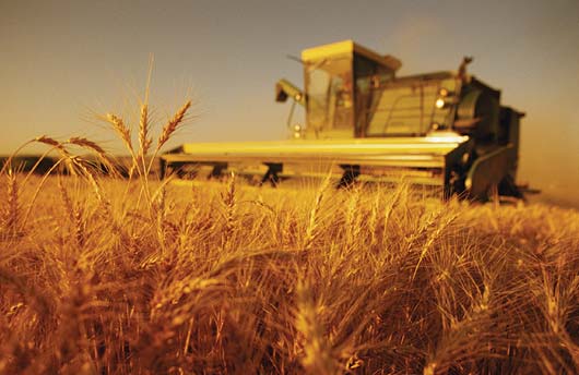 Сүдігер серпіні