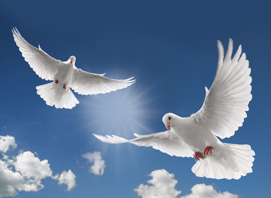 Келер жылы мектеп бағдарламасына қоғам және дінтану сабағы енгізілуі мүмкін