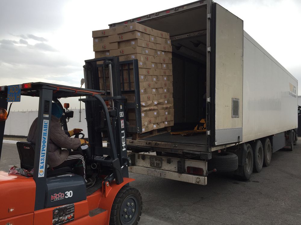 Құс фабрикасының қарқыны жоғары